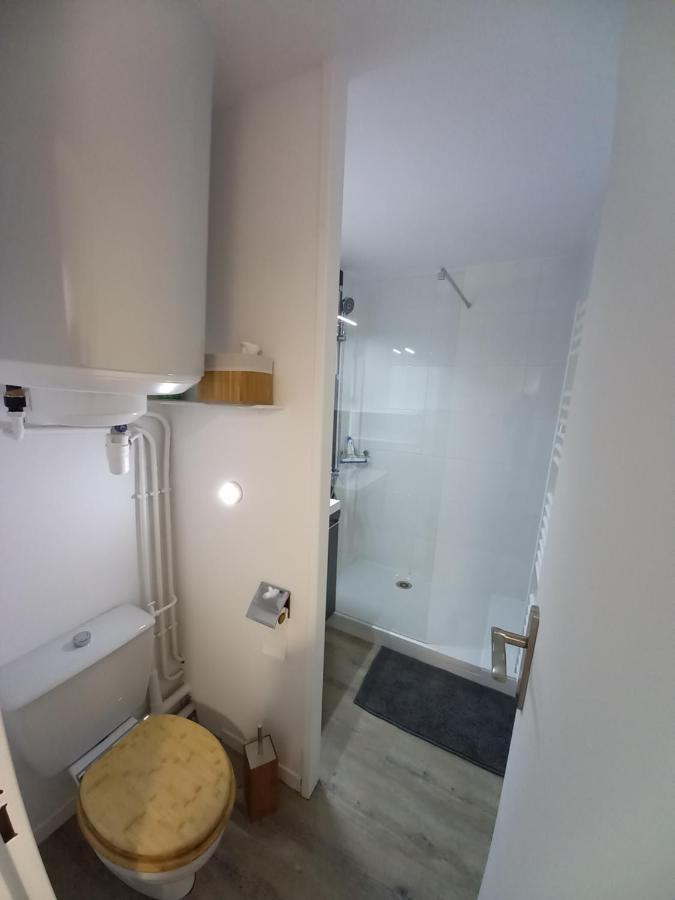 Appartement Cabine St-Lary-Soulan, Calme, Entierement Renove Сен-Лари-Сулан Экстерьер фото